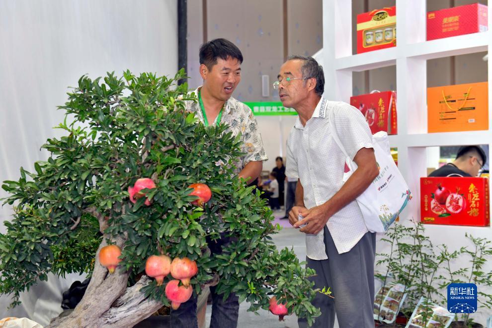通比牛牛挂